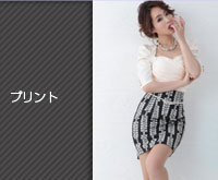 �v�����g