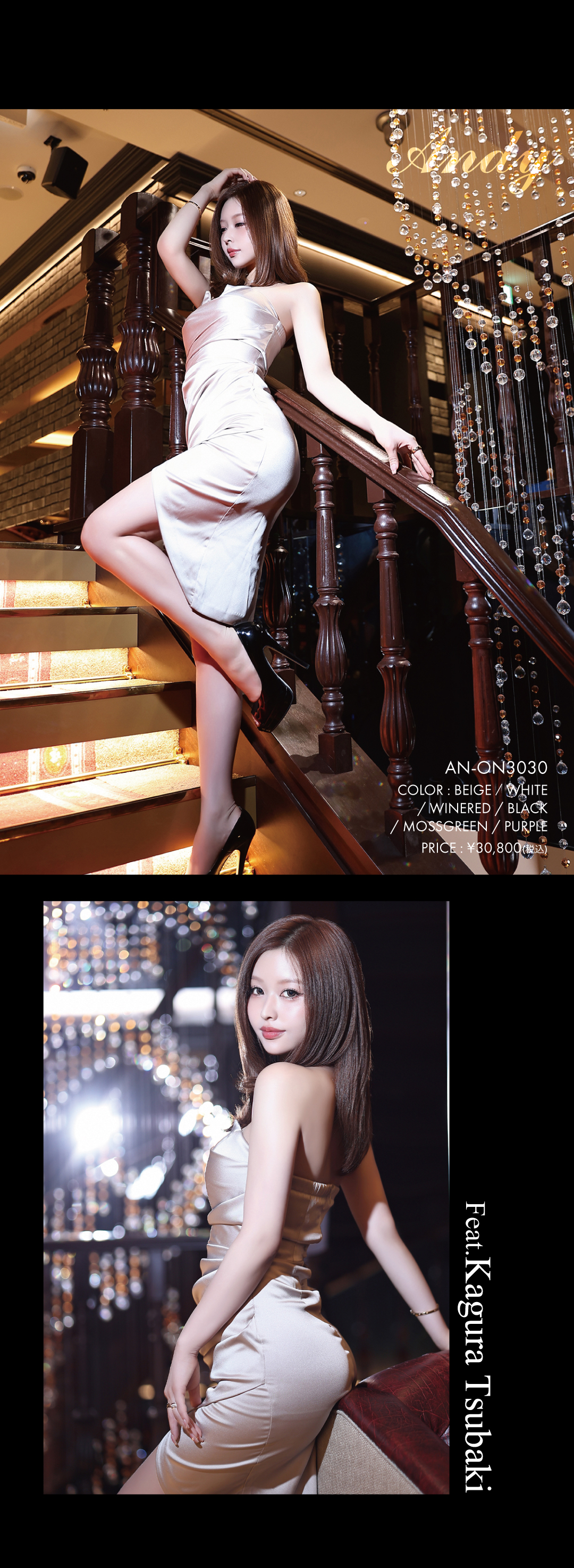 AN-ON3030