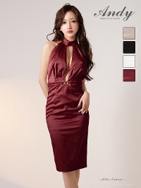 [Andy]AN-ON3104-re-